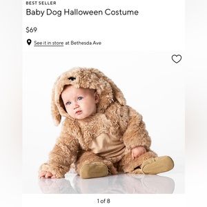 Pottery barn dog Halloween costume 12-24 month. Worn once. Like new condition